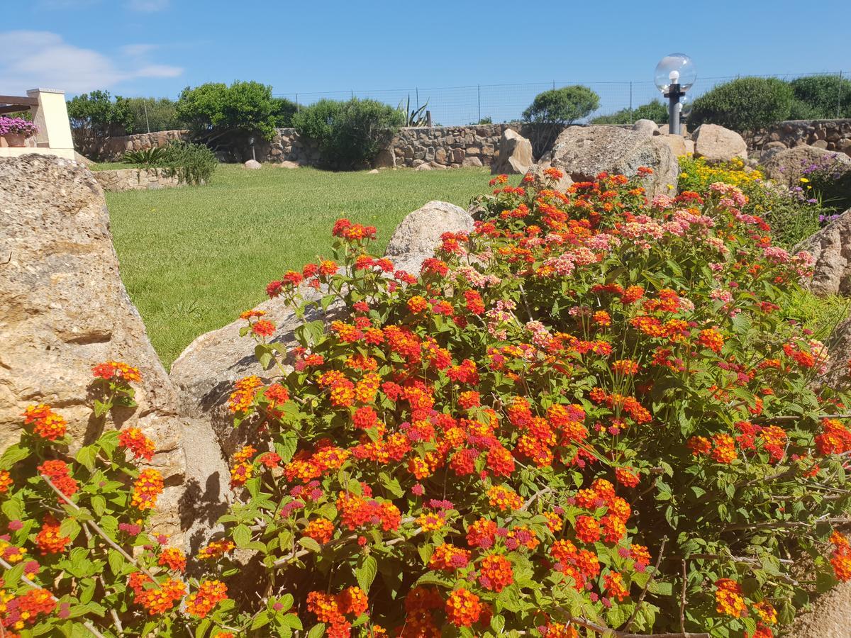 Villa Sprafundu La Maddalena  Dış mekan fotoğraf