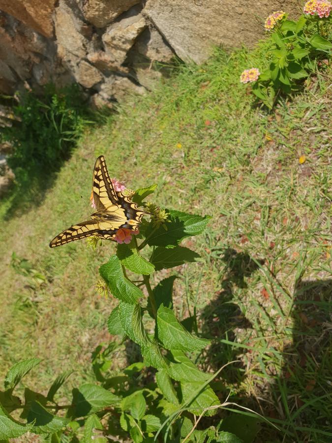 Villa Sprafundu La Maddalena  Dış mekan fotoğraf