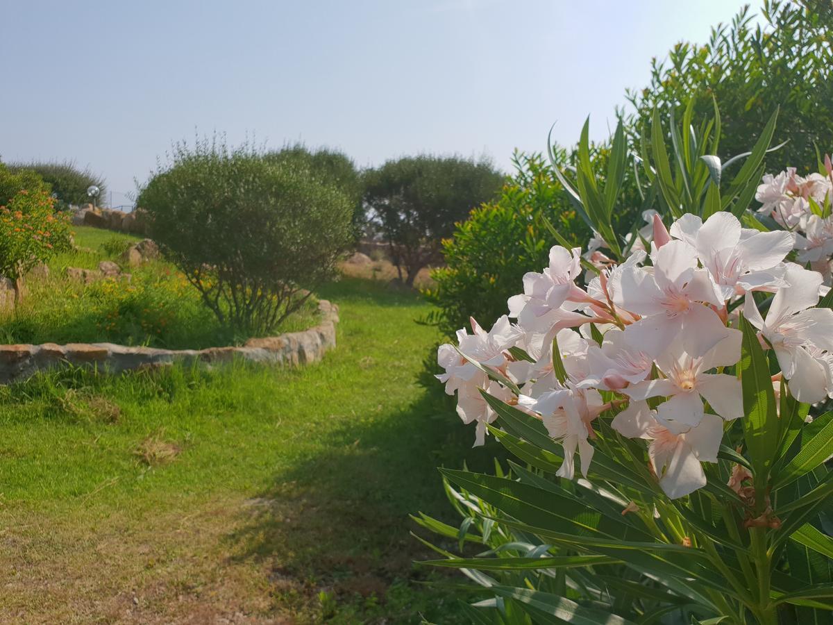 Villa Sprafundu La Maddalena  Dış mekan fotoğraf